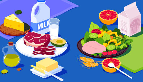 What is a Good Low Fat Diet for Dogs & Cats: Benefits and Considerations